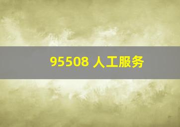 95508 人工服务